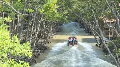 ស្វែងយល់ពីព្រៃឈើ Sac៖ បេតិកភណ្ឌប្រវត្តិសាស្ត្រ និងធម្មជាតិព្រៃ