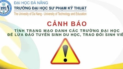 ទីក្រុង Da Nang: 'ការហោះហើរ' 200 លានជាភស្តុតាងហិរញ្ញវត្ថុទៅសិក្សានៅបរទេសពីការប្រកាសក្លែងក្លាយ