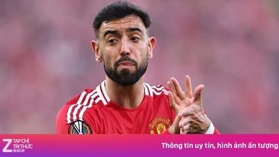 Tương lai của Bruno được định đoạt