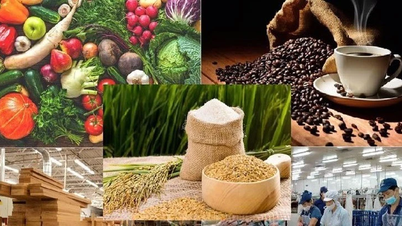 Thủ tướng yêu cầu tập trung thúc đẩy xuất khẩu nông-lâm-thủy sản trong bối cảnh biến động thương mại toàn cầu