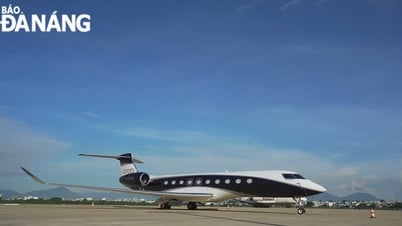 Une nouvelle compagnie aérienne coréenne promeut l'ouverture de vols vers Da Nang