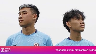 New details in the FIFA case of fining Phu Tho Club for match-fixing