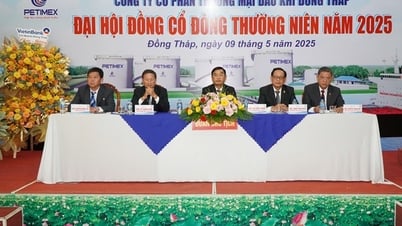 PETIMEX는 2024년 대비 2025년 세전 이익 증가 목표를 설정했습니다.