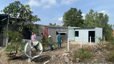 UBND TP. Nha Trang chỉ đạo xử lý, tháo dỡ các công trình xây dựng trái phép tại xã Vĩnh Thái