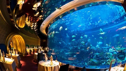 Travel Dubai with restaurants for the elite