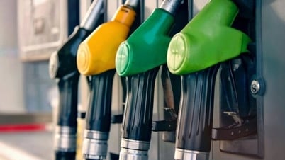 Giá xăng dầu hôm nay 9/5: Thị trường ngập sắc xanh - Báo và Đài Phát thanh Truyền hình Lạng Sơn