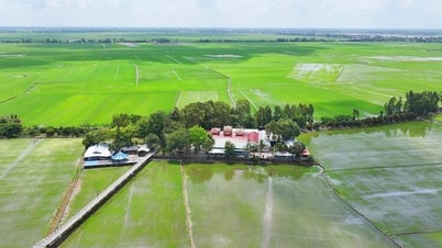 Плавающий каменный дворец посреди поля