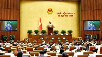 계획법에 전문화된 계획 범주를 포함하지 않는 것을 고려하십시오.