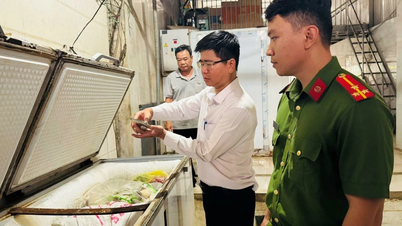 Lại phát hiện thực phẩm dương tính với hàn the ở cơ sở cung cấp suất ăn công nghiệp ở Đồng Nai
