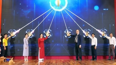 Vinh Long met en œuvre un programme pour s'enregistrer et utiliser le nom de domaine national « .vn »