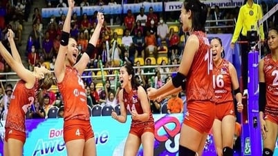 Liên đoàn Bóng chuyền quốc tế hướng đến hệ thống xếp hạng mới