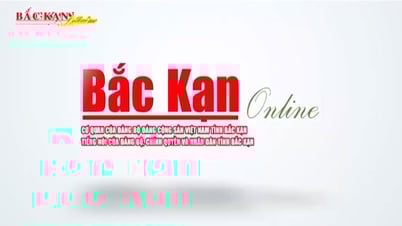 [LIVE] LỄ DUYỆT BINH KỶ NIỆM 80 NĂM CHIẾN THẮNG TRONG CUỘC CHIẾN TRANH VỆ QUỐC