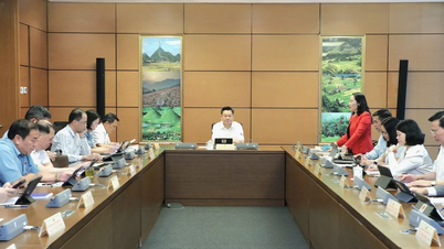 Los diputados de la Asamblea Nacional de la provincia de Bac Kan contribuyen activamente con ideas para elaborar proyectos de ley sobre justicia.