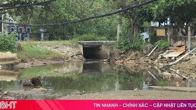 UBND tỉnh chỉ đạo tổng rà soát các cơ sở, khu vực, địa điểm gây ô nhiễm môi trường