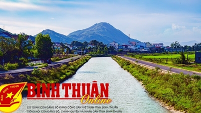 Chuyện làm ăn: Làm nông kiểu 5 nhà