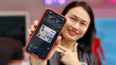 Welches Netzwerk hat die schnellste 5G-Geschwindigkeit in Vietnam?