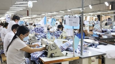 사회보험료 체납액 1770억동 이상