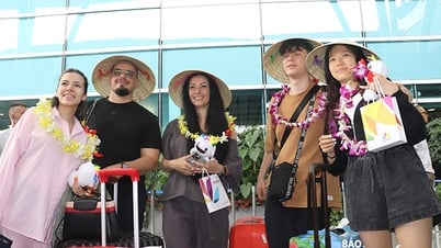 បូកពិន្ទុសម្រាប់ទេសចរណ៍ Da Nang