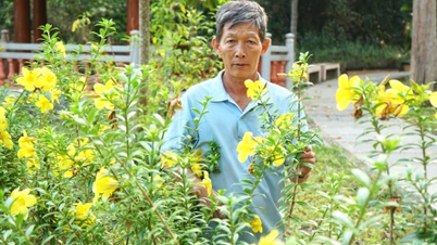 Những người âm thầm giữ gìn sạch đẹp Căn cứ Trung ương Cục miền Nam
