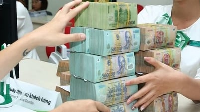 엄청난 신용 유입으로 경기가 활성화될 것으로 예상...