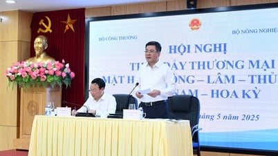 Le ministère de l'Industrie et du Commerce organise une conférence pour promouvoir le commerce des produits agricoles, forestiers et de la pêche entre le Vietnam et les États-Unis
