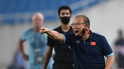 Trainer Park Hang Seo wurde eine besondere Aufgabe im koreanischen Team zugewiesen.