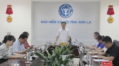 Improve the quality of operations of social insurance and health insurance collection service organizations