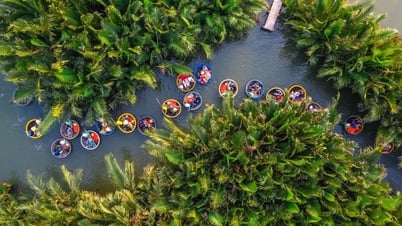 Món quà mùa hạ