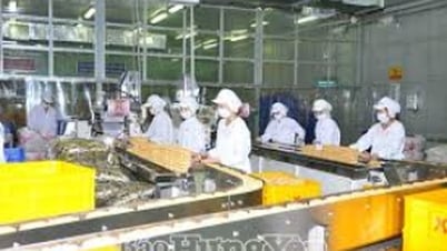 Trên 860 doanh nghiệp đăng ký thành lập mới