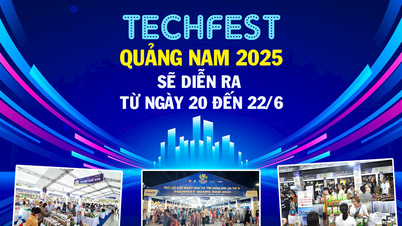TechFest Quảng Nam 2025 sẽ diễn ra từ ngày 20 đến 22/6