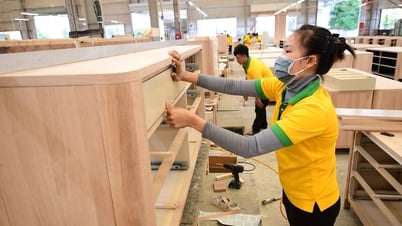 Nhà nhập khẩu Mỹ tìm đơn hàng từ Việt Nam