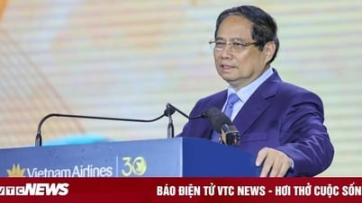 Prime Minister: Vietnam Airlines is the leading bird of the aviation industry