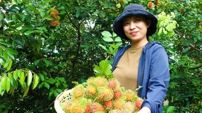 Du khách mê trải nghiệm du lịch gắn liền với vườn cây ăn trái ở Phú Quốc