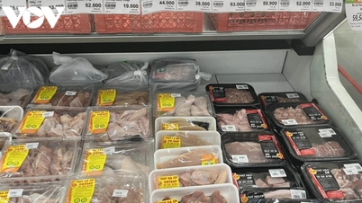 CP Vietnam: Schweine- und Hühnerfleisch wegen Krankheit angeklagt: Verbraucher sind vorsichtig