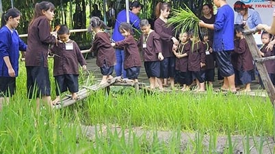 Du lịch hè: Cha mẹ đưa con “về quê làm nông dân”