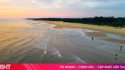 Vẻ đẹp mộc mạc, trong lành của bãi biển Thạch Hải