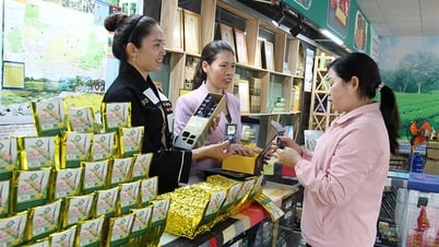 Bac Giang: Conectando los productos de OCOP con el turismo