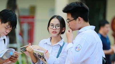 하노이 국립대학교 법학대학원, C00 조합 삭제