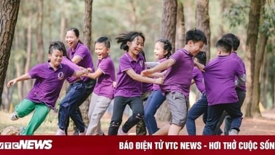 Bùng nổ thị trường trại hè 2025, cao nhất gần 200 triệu đồng/khoá