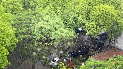 В северных и северо-центральных регионах выпали очень сильные дожди, местами более 200 мм.