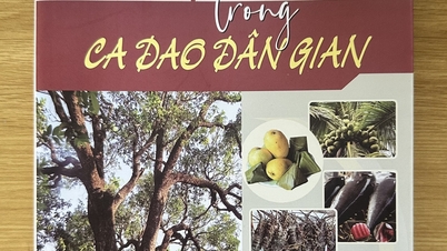 “ผลิตภัณฑ์ฟู่เยนในเพลงพื้นบ้าน” – หนังสือใหม่ โดย เหงียน ฮ่วย ซอน