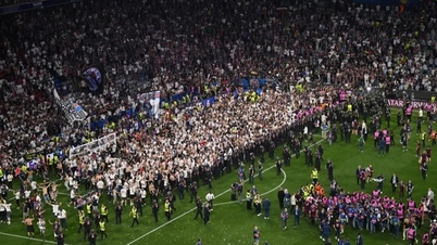 Los aficionados inundaron el campo, rompieron la red y cortaron el césped para celebrar la victoria del PSG en la Liga de Campeones.