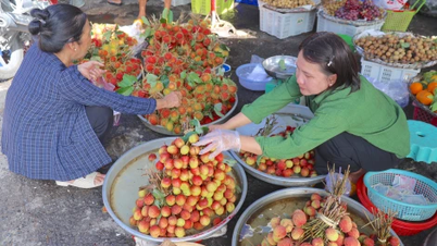 Marché animé de Doan Ngo Tet 2025