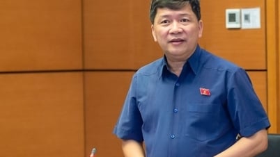헌법 개정으로 기구 정비하고 국민의 주인의식 함양 도모