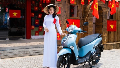 تم تخفيض أسعار العديد من إصدارات Yamaha Janus بشكل كبير حتى 2.6 مليون دونج