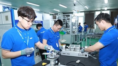 Mejorar la capacidad de las empresas vietnamitas en la cadena de valor global