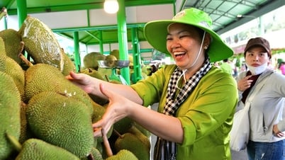 Das Southern Fruit Festival bringt Hunderte einzigartiger Früchte zusammen und zieht am 1. Juni Besucher an