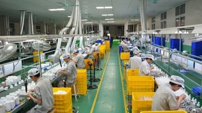 Gần 50 doanh nghiệp Việt Nam hôm nay sang Mỹ tìm cơ hội nhập khẩu nông lâm thủy sản