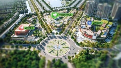 เหตุใด Vinhomes Green City Long An จึงทำให้เกิดไข้ใน Long An? มุมมองของผู้เชี่ยวชาญ