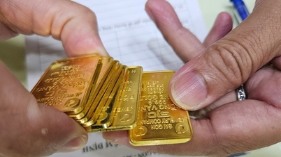 Precio del oro hoy 1 de junio: los compradores de lingotes de oro perdieron casi 5 millones de VND, ¿seguirá bajando el precio?